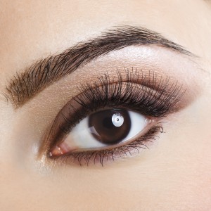 shutterstock_65515570